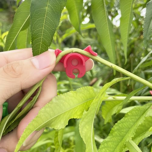 120Pcs Plant Training Clips, Lst Clips for Low Stress Training Plant Stem Support, 90 Degree Angle Plant Clips， Plant Climbing Wall Clips for Plant Gardening Trellis Growth - view 4