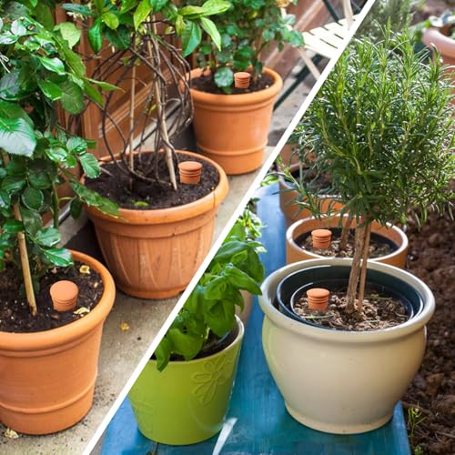 4pcs 3.1in Plant Self Watering Globes Ollas Watering Pots Drip Irrigiation Olla System Terra Cotta Clay Irrigation Pots Terracotta Self Watering - view 5