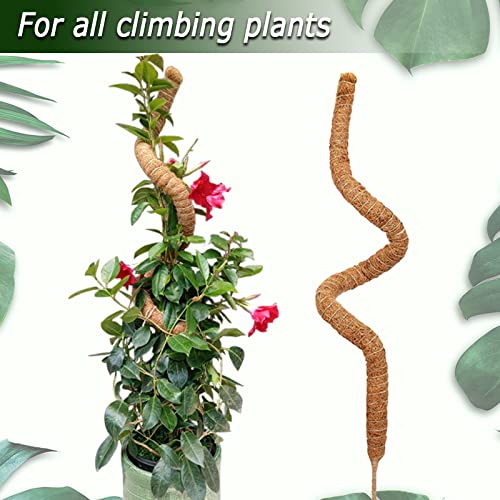 48 Inch Moss Pole, Bendable Moss Pole for Plants Monstera, Tall Moss Poles for Climbing Plants Indoor, Large Moss Pole Support, Garden Trellis Plant Stick Stakes for Potted Plants, Pothos - view 4
