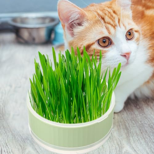 Cat Grass Planter Box Plastic Soilless Hydroponic Growing Kit for Cats - view 5