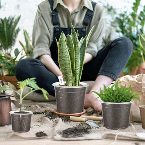40 Pack 5/4/3/2.75 Inch Clear Nursery Pots with 40 Plant Labels, Clear Plant Pots with Drainage Hole Plastic Transparent Variety Pack Garden Flower Seedling Pot Small Planter Containers - view 5
