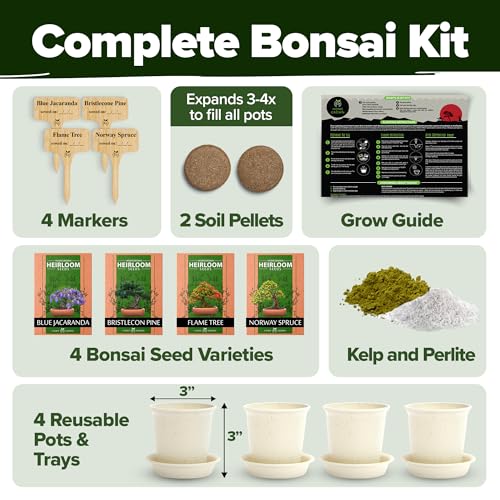Bonsai Tree Starter Kit, Grow 4 Bonsai Trees, Gardening Gift - view 2