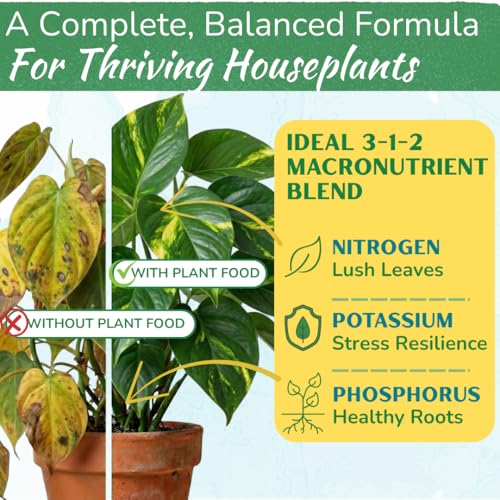 Indoor Plant Food - Organic Liquid Fertilizer for Pothos, Peace Lily, Monstera, Cactus and More - 8 oz - view 2