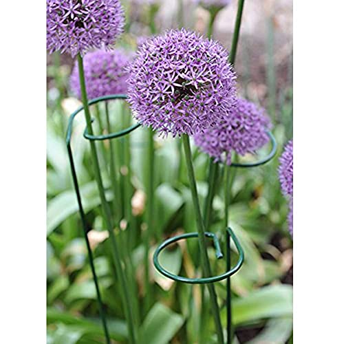 36 Inches Single Stem Plant Support Stakes Steel Garden Stakes Plant Stem Support, Pack of 20 - view 4