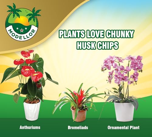 Premium Super Washed, Clean, Coco Chips, 2 Bricks (2.2 lb.) yields 14 Qts. of Loose Chips. Plant Substrate, Organic, Reptile Bedding, Odor Absorbing, Grow Orchids, Mulch Indoor, Outdoor. - view 6