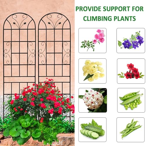 4 Pack Metal Garden Trellis 86.7" Tall Outdoor Climbing Plant Support for Roses, Flowers, Rustproof Durable Black Galvanized Tube, Lawn Garden Fence Decor Screen (4, Black curves-86.7" H) - view 5
