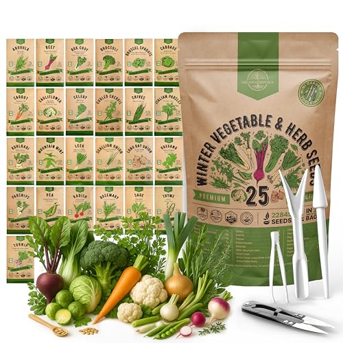 30 Most Popular Winter Vegetable Garden Seeds Variety Pack- Outdoors/Indoor 33,200+ Non-GMO Heirloom Veggie Seeds Broccoli Beet Carrot Cabbage Chives Lettuce Radish Pea Spinach & More - view 7
