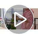 60 Inch Moss Pole, Bendable Moss Pole for Plants Monstera, Tall Moss Poles for Climbing Plants Indoor, Large Support, Garden Trellis Stick Stakes for Plants - view 7