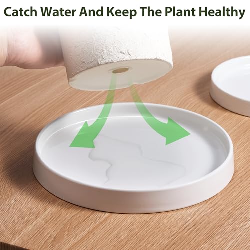 Ceramic Plant Saucer 6.5 Inch 2 Pack White, Fits Pot Base Under 6 Inch - view 5