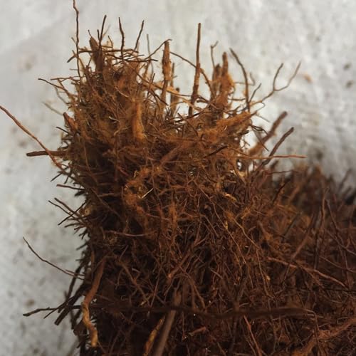 Fern Wood New Zealand Soft Orchid Substrate 40 Liter Bag - view 3