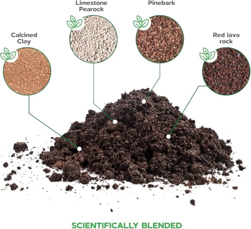Novaterra Bonsai Potting Soil Mix for Indoor Bonsai Trees, 2.4 Quarts - view 4