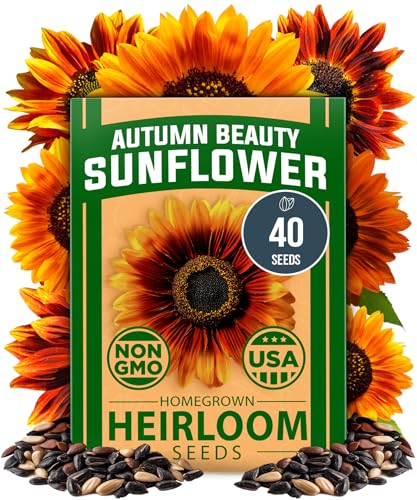 Flower Garden Pollinator Bundle – 35,000+ Non-GMO USA Seeds: Japanese White Lilac, Crackerjack Marigold & Autumn Beauty Sunflower for Outdoor Planting & Vibrant Blooms - view 3