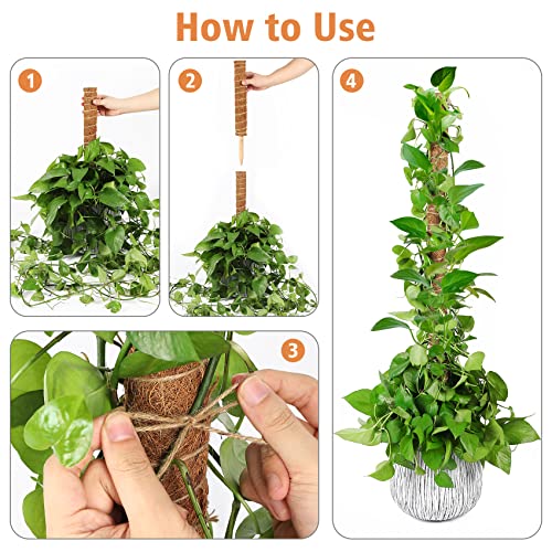【4 Pack】 Moss Pole, 17 inch Coco Coir Totem Poles Extending to 53 Inches, Plant Support Stick Plant Poles for Indoor Plants Climbing Plants Monstera, Sphagnum, Pothos - view 4