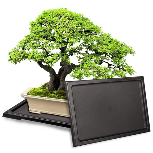 2 Packs Bonsai Humidity Plant Tray Drip Trays, Square Plastic Pot Saucer Draining Tray for Indoors Outdoors for Cactus, Succulents, Bonsai Tree, Stone to Drain, Protect, Decorate(11.4*8.4Inch)