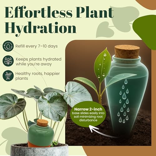 Terracotta Self Watering Planter Insert - Set of 4 Clay Ollas with Slim Bottom for Easy Soil Insertion, Glazed Top, Slow-Release Plant Watering System for Indoor & Outdoor Plants - view 2