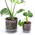 4.5 Inch 6.5 Inch Clear Acrylic Houseplants Planter Pot with Tray, Orchid Pot with Drainage Holes, Deep Saucer for Bottom Watering, Transparent Containers for Indoor Plants, Herbs, 91-B-W