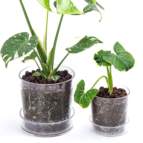 4.5 Inch 6.5 Inch Clear Acrylic Houseplants Planter Pot with Tray, Orchid Pot with Drainage Holes, Deep Saucer for Bottom Watering, Transparent Containers for Indoor Plants, Herbs, 91-B-W