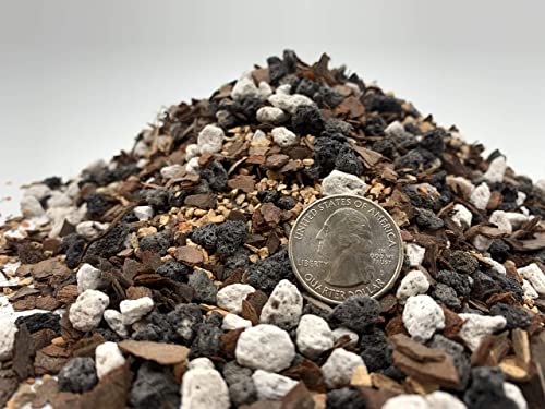 Bonsai Soil All Purpose Mix | Fast Draining Pre Blend (2 Quart Bag) Plant | Pumice, Lava, Calcined Clay and Pine Bark ● Potting Pre Mixed Bonsai Plant Soil Mixture By The Bonsai Supply - view 3