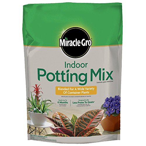 Indoor Potting Mix, Blended for a Variety of Houseplants, Feeds for up to 6 Months, 6 qt.
