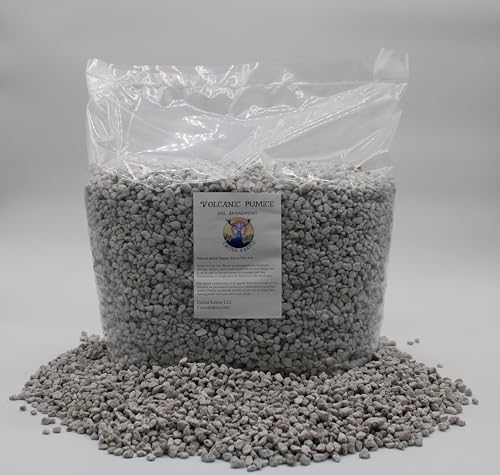 Horticultural Pumice - 14 Dry quarts - Cactus Succulent Soil Amendment