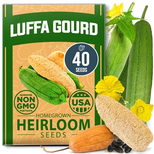 Luffa & Zinnia Dahlia Seed Pack – 564+ Heirloom 𝗡𝗢𝗡-𝗚𝗠𝗢 USA Seeds | Grow Loofah Sponges & Colorful Pollinator Flowers | Easy Garden Kit for DIY & Outdoor Planting - view 2