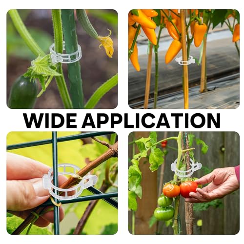 180 Pcs Plant Support Clips, Clear Plastic Trellis Clips, Garden Clips, Vegetable Clips, Vine Tomato Clips for Plants Support, Plant Clips for Climbing Plants to Grow Upright & Healthier - view 5