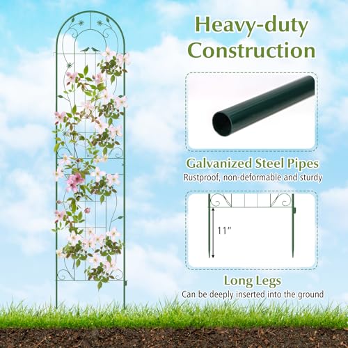 2 Pack Garden Trellis, 7.2 FT Tall Galvanized Steel Trellis for Climbing Plants Outdoor for Patio Lawn Wall Decor, Plant Trellis for Vine Cucumber Tomato Flower Clematis Roses, Green - view 5