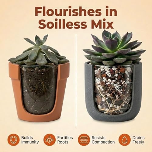 Molly's Succulent Potting Mix, Cactus and Bonsai Gritty Blend, 5 Dry Quarts - view 5
