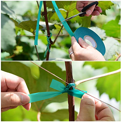 2 Pcs 150 Feet x 1/2" Wide Stretch Tie Tape Green Plant Garden Tie, Garden Vinyl Stake for Branches, Climbing Planters, Flowers - view 5