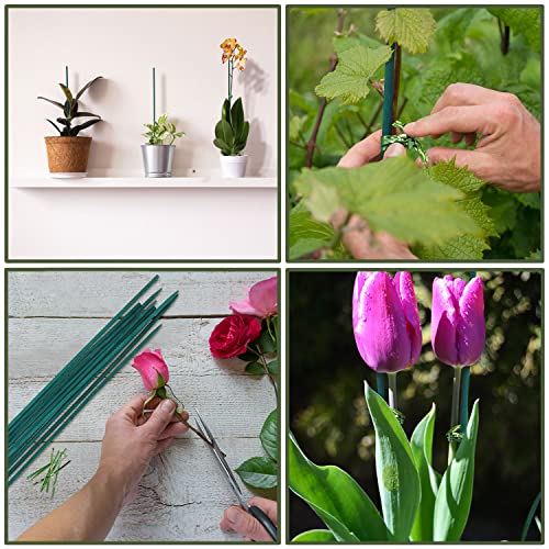 Green Bamboo Plant Stakes, 15 Inch Garden Plant Support Sticks 25 Pack - view 6