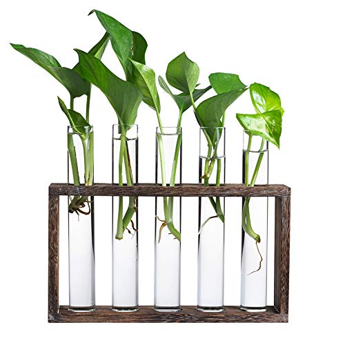 5 Tube Wooden Plant Propagation Station, Tabletop Glass Terrarium Holder for Cuttings Hydroponics, Home Office Desk Decor Gift for Women Mom Plant Lovers, Brown - view 2