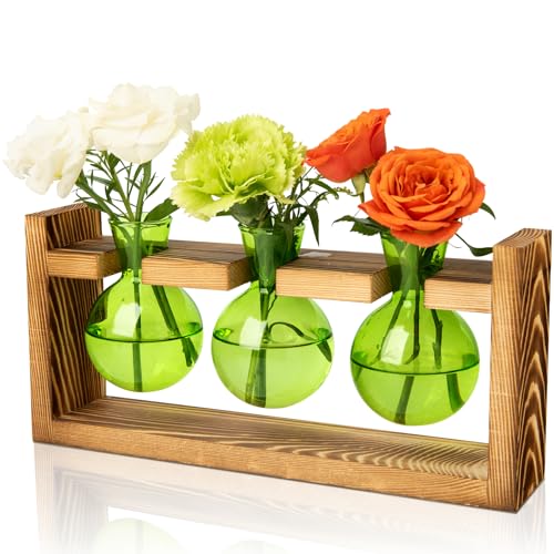 Plant Terrarium Jar Propagation Station Stand 3 Green Bulb Vases