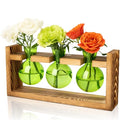 Plant Terrarium Jar Propagation Station Stand 3 Green Bulb Vases