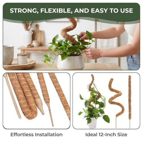 Bendable Coconut Pole Support Stakes, 30cm Flexible Moss Stick with 5mm Aluminum Core, Reusable Climbing Vine Training Frame for Green Plants - view 4