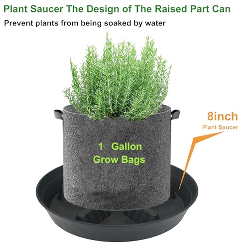 4 Pack Plant Saucer 8 inch, 10 12 14 17 inch, Plant Stand Plastic Plant Saucers for Indoors Outdoor, Heavy Duty Flower Planter Drip Trays for Pots, Pot Saucers for Plants, Grow Bags Saucers - view 4
