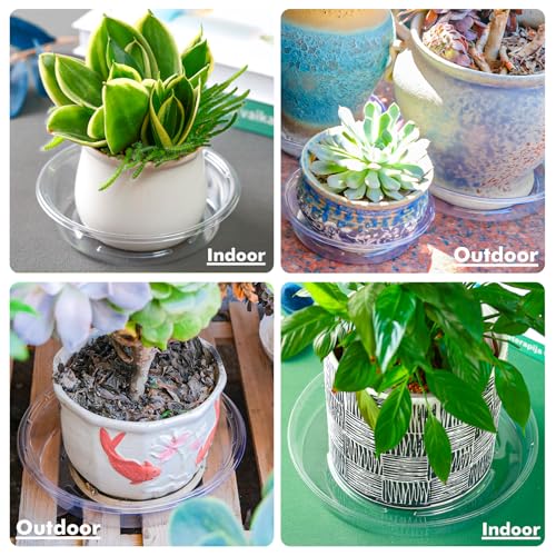 Plant Saucer 20 Pack Plant Trays for Pots 4 Inch Plastic Plant Saucers for Outdoors and Indoors Clear Drip Trays for Potted Plants Flower Pot Plates to Catch Water Plant Drainage Dishes No Holes - view 7