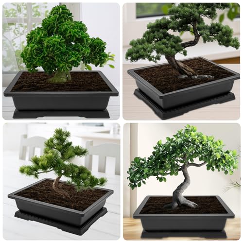 Large Bonsai Pots 3 Pack 14 Inch with Drainage Trays Training Pot - view 6