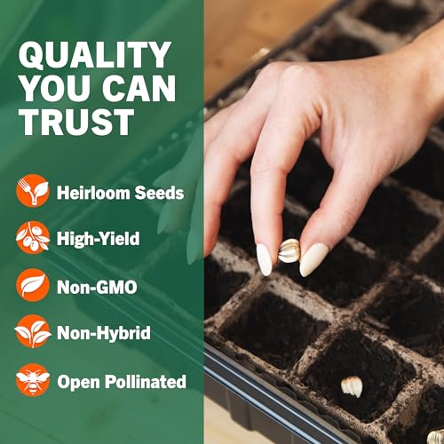 Vegetable & Fruit Seeds, 32 Packs, Non-GMO, 15,000+ Seeds - view 5