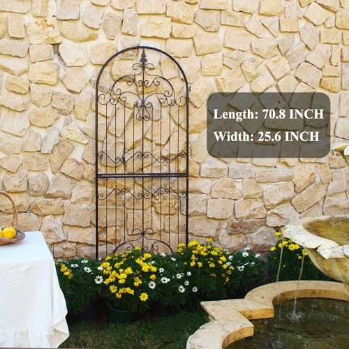 Wrought Iron Garden Trellis for Climbing Plants, 70.8" H x 25.6" W - view 3