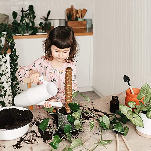 101in Moss Pole for Plants Monstera 8 Pcs - view 7