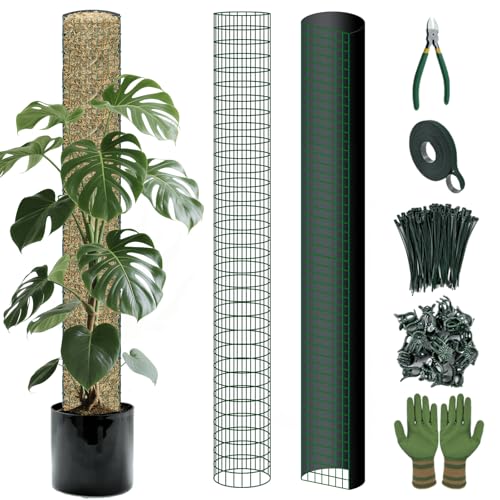 Metal Moss Poles for Climbing Plants, D-Shape Sphagnum Moss Pole Monstera Plant Support for Climbing Plants, DIY Plant Stakes Work with Sphagnum Moss (4ft D-Shaped & 6ft Round)