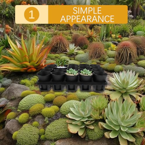 Black Plastic Succulent Pot Tray with Humidity Dome for Seed Starting - view 5