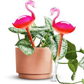 Self Watering Globes 2 Pack Glass Plant Waterer Flamingo Pink 10in