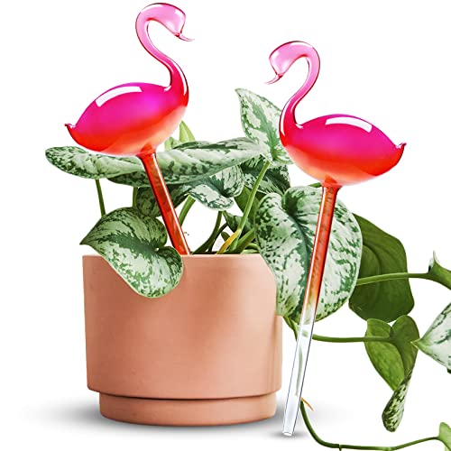 Self Watering Globes 2 Pack Glass Plant Waterer Flamingo Pink 10in