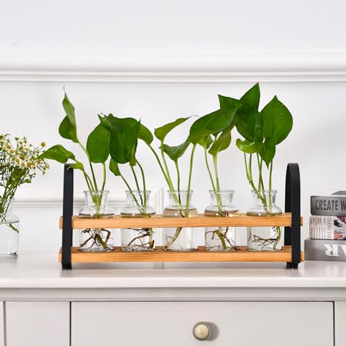 Plant Propagation Station with Wood Stand, Desktop Terrarium for Hydroponic, Flower Vase for Home, Kitchen, Office Decor, Plants Lover Gifts - view 7