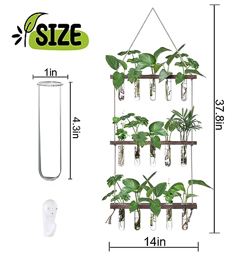 Wall Hanging Propagation Station with Wooden Stand 5 Glass Test Tubes 3 Tiered Planters Wall Terrarium for Home Office Plant Hanger Flower Vases Wall Decor Hydroponic Cuttings - view 2