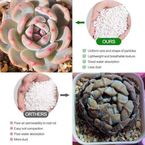 Perlite for Plants 4 Quarts, Horticultural Perlite Soil for Plants Potting Mix, Amendment for Plants Indoor&Outdoor, Enhanced Water Drainage and Ventilation, Promote Root Growth (3-6mm) - view 4