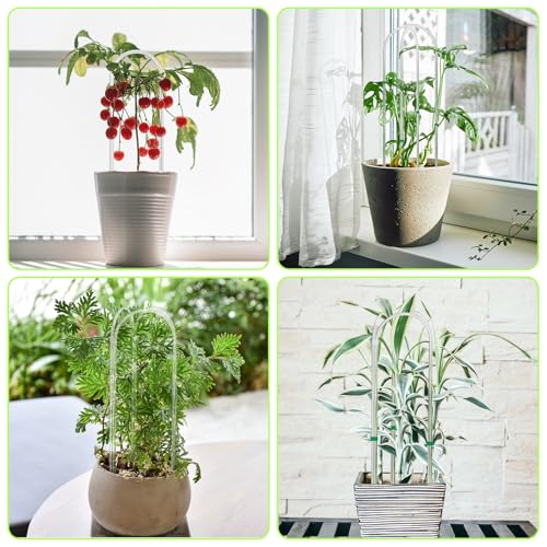 6 Pack U-Shape Acrylic Plant Trellis for Indoor Climbing Plants, 16 Inch Small Plant Trellis, Potted Plant Climber Support for Pothos, Vine Ivy, Houseplant - view 5