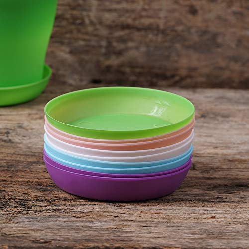 10 Pcs Plastic Planters Indoor Pots with Pallet - view 3