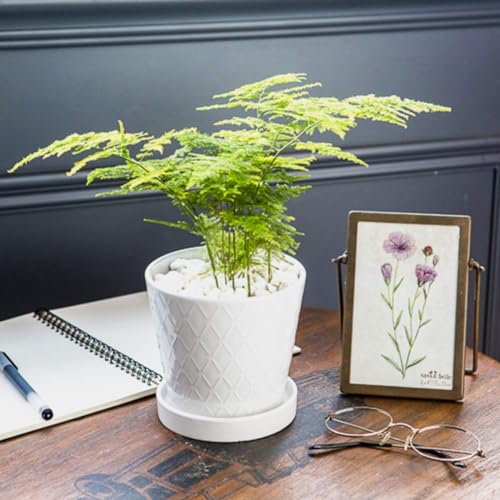 5in Ceramic Flower Pots Set of 4 Plant Pot with Drainage Hole - view 4